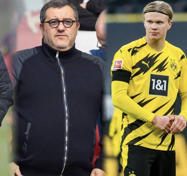 定期披露归 定期披露归